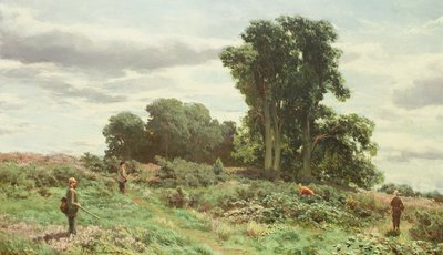 غابة ميكلور ، بيرثشاير بواسطة ديفيد فاركوهارسون